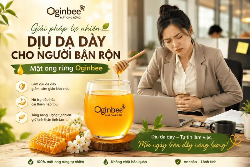 Sản phẩm mat ong rung cho nguoi dau da day — Mật Ong Rừng Oginbee - Công Ty TNHH TM DV Mật Ong Rừng Oginbee — MST 1801590627