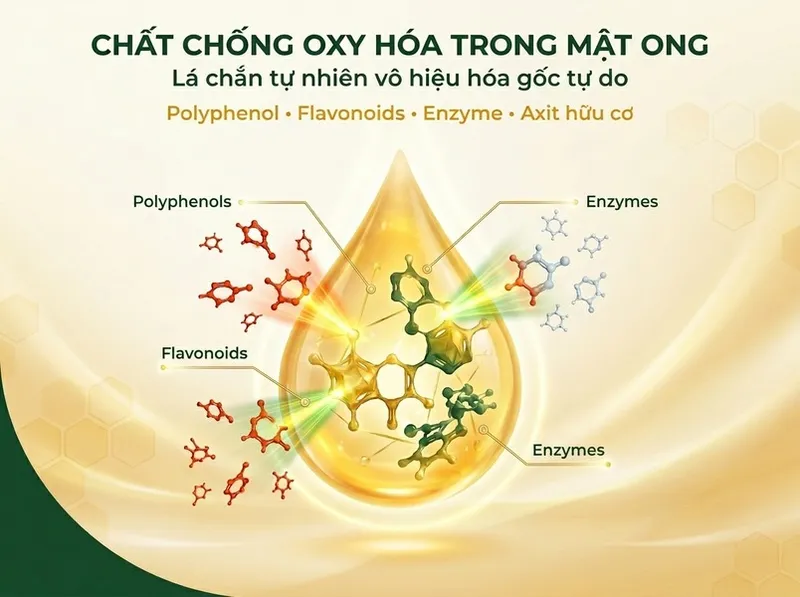 Sản phẩm co che chong oxy hoa cua mat ong — Mật Ong Rừng Oginbee - Công Ty TNHH TM DV Mật Ong Rừng Oginbee — MST 1801590627