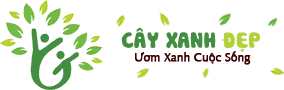 Logo Công Ty TNHH MTV Cây Xanh Đẹp