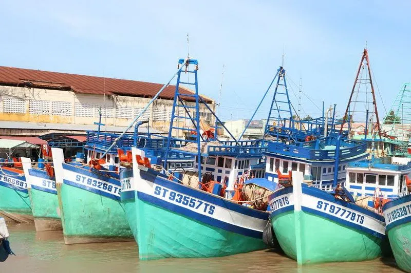 Sản phẩm soc(1) — Công Ty TNHH Thương Mại Dịch Vụ Du Lịch Nguyễn Duy Travel — MST 1801616152
