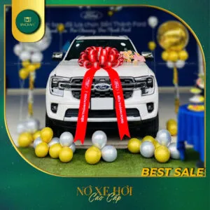 Sản phẩm no xe hoi 2025 bmcraft 1 300x300 — Công Ty TNHH BMCRAFT — MST 1801643036