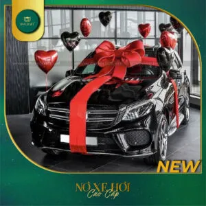 Sản phẩm no xe hoi 2025 bmcraft 12 300x300 — Công Ty TNHH BMCRAFT — MST 1801643036