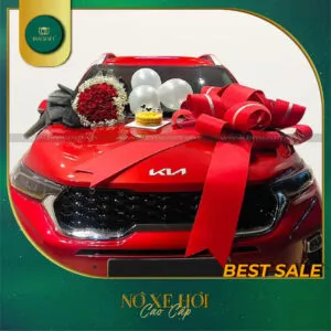 Sản phẩm no xe hoi 2025 bmcraft 14 300x300 — Công Ty TNHH BMCRAFT — MST 1801643036