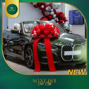 Sản phẩm no xe hoi 2025 bmcraft 21 300x300 — Công Ty TNHH BMCRAFT — MST 1801643036