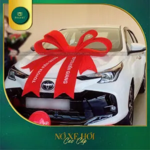Sản phẩm no xe hoi 2025 bmcraft 23 300x300 — Công Ty TNHH BMCRAFT — MST 1801643036