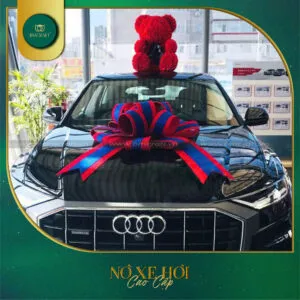 Sản phẩm no xe hoi 2025 bmcraft 28 300x300 — Công Ty TNHH BMCRAFT — MST 1801643036
