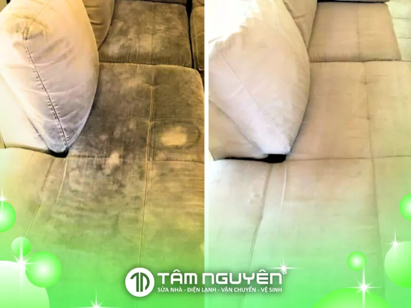 Sản phẩm 40 800x600 — Công Ty TNHH Tâm Nguyên Co — MST 1801693407