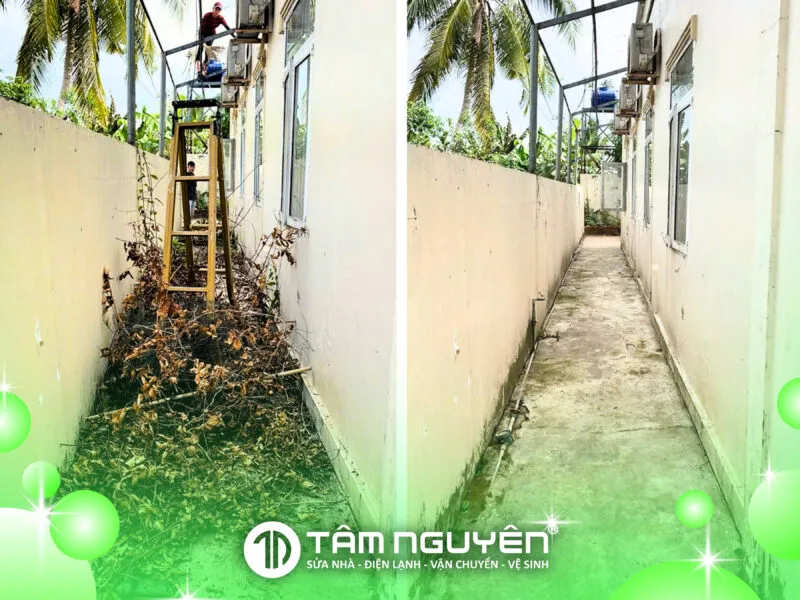 Sản phẩm 41 800x600 — Công Ty TNHH Tâm Nguyên Co — MST 1801693407