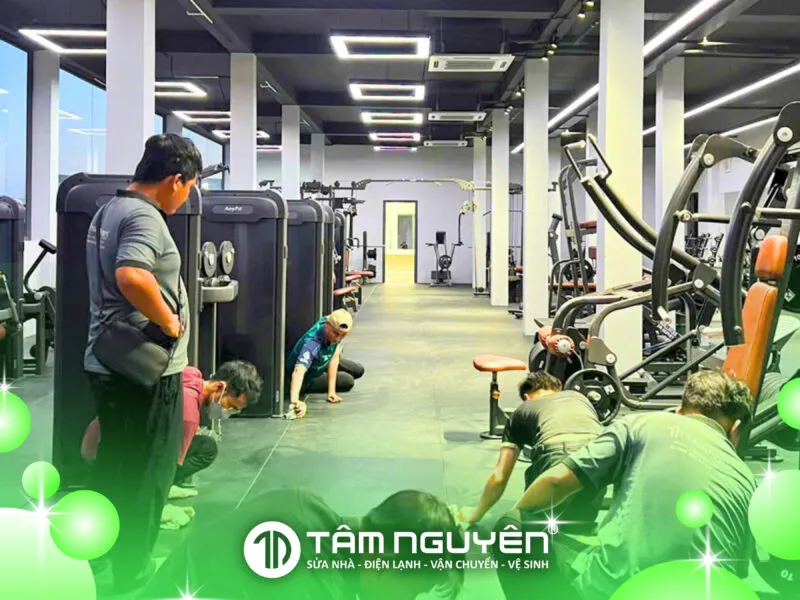 Sản phẩm 46 800x600 — Công Ty TNHH Tâm Nguyên Co — MST 1801693407