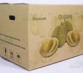Sản phẩm thung carton can tho 8063 — Công Ty TNHH Sản Xuất Thương Mại Dịch Vụ Tổng Hợp Dao CARTON — MST 1801699046