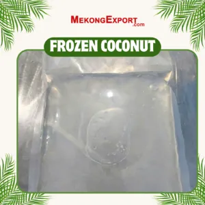 Sản phẩm FROZEN COCONUT 1 300x300 — Công Ty Cổ Phần Đầu Tư Thương Mại Sản Xuất Mekong Export — MST 1801711494