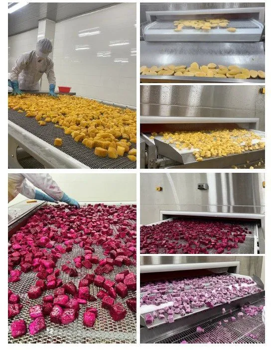 Sản phẩm MKE 1 — Công Ty Cổ Phần Đầu Tư Thương Mại Sản Xuất Mekong Export — MST 1801711494