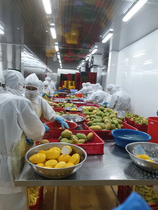 Sản phẩm MKE 2 — Công Ty Cổ Phần Đầu Tư Thương Mại Sản Xuất Mekong Export — MST 1801711494