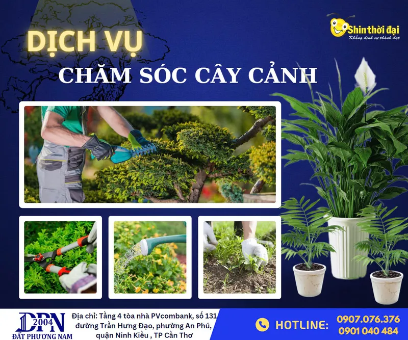 Sản phẩm 464688615_976396911171273_7585240075175910928_n — Công Ty TNHH Dịch Vụ Đất Phương Nam — MST 1801719743
