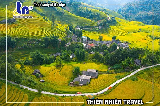Sản phẩm mua lua sapa — Công Ty TNHH Thiên Nhiên Travel — MST 1801735897