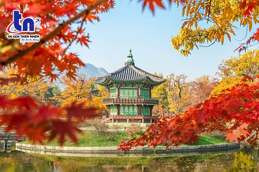 Sản phẩm korea g438bc7725_640 — Công Ty TNHH Thiên Nhiên Travel — MST 1801735897