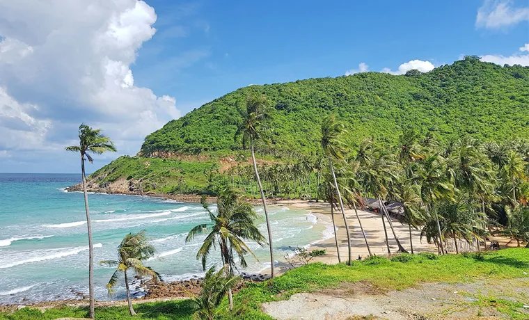 Sản phẩm namdu baimen — Công Ty TNHH Thiên Nhiên Travel — MST 1801735897