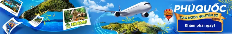 Sản phẩm Daongophuquoc — Công Ty TNHH Thiên Nhiên Travel — MST 1801735897