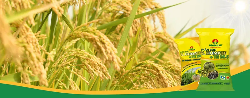 Sản phẩm Banner 1 — Công Ty Cổ Phần Bao Bì Dầu Khí Việt Nam — MST 1900437757