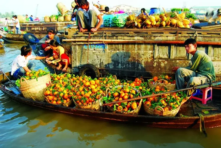 Sản phẩm 53797788_2231842633543033_7396079794204442624_n — Công Ty TNHH Du Lịch Lữ Hành Đất Vàng Phương Nam — MST 1900579769