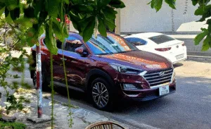 Sản phẩm image 1 300x183 — Công Ty TNHH Du Lịch Lữ Hành Đất Vàng Phương Nam — MST 1900579769