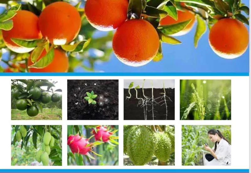 Sản phẩm nen — Thuốc Trừ Sâu, Phân Bón Bốn Mùa - Công Ty TNHH Đầu Tư Phát Triển Nông Nghiệp Bốn
Mùa KBM — MST 1900627187