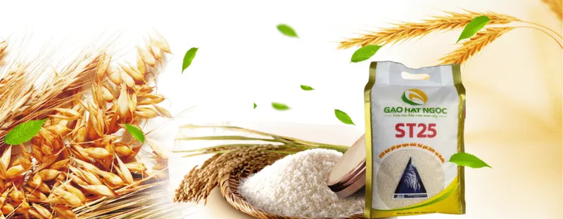 Sản phẩm 1 1024x399 — Gạo Hạt Ngọc - Công Ty Trách Nhiệm Hữu Hạn Thương Mại Sản Xuất Gạo Hạt Ngọc — MST 1900663001
