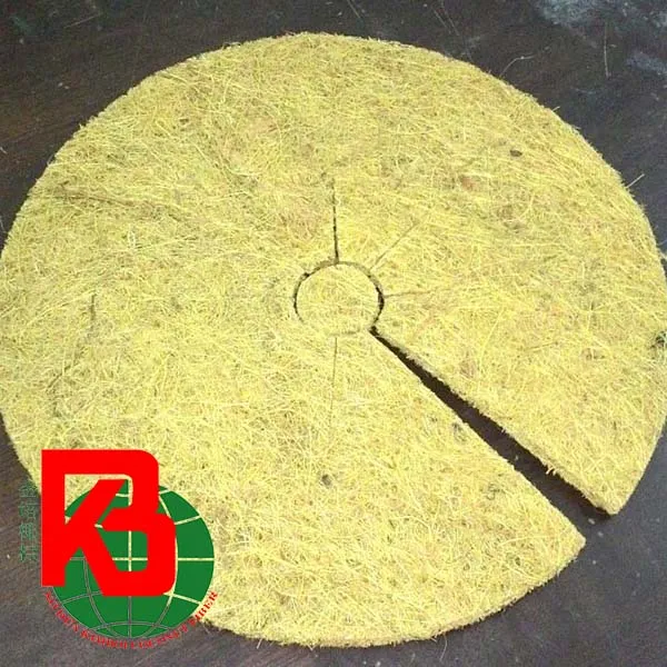 Sản phẩm 1023B   Tam xo dua chong co   Copy — Sản Phẩm Xơ Dừa Kim Bôi Trà Vinh - Công Ty Trách Nhiệm Hữu Hạn Kim Bôi Trà Vinh — MST 2100340684