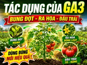 Sản phẩm ChatGPT Image 10_23_07 19 thg 5 2026 300x225 — Công Ty TNHH Phân Bón Hóa Nông Việt Nhật — MST 2100598958