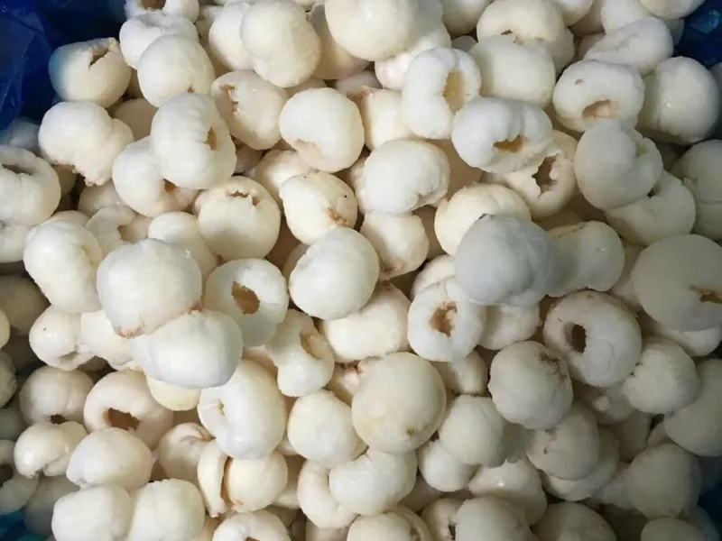 Sản phẩm 1. Frozen Ly chee 1024x768 — Công Ty TNHH Chế Biến Thực Phẩm Nấm Xuất Khẩu Tư Thao Sóc Trăng — MST 2200197607