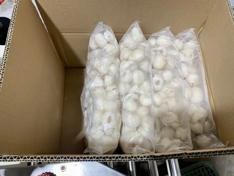 Sản phẩm Frozen Ly chee 1024x768 — Công Ty TNHH Chế Biến Thực Phẩm Nấm Xuất Khẩu Tư Thao Sóc Trăng — MST 2200197607