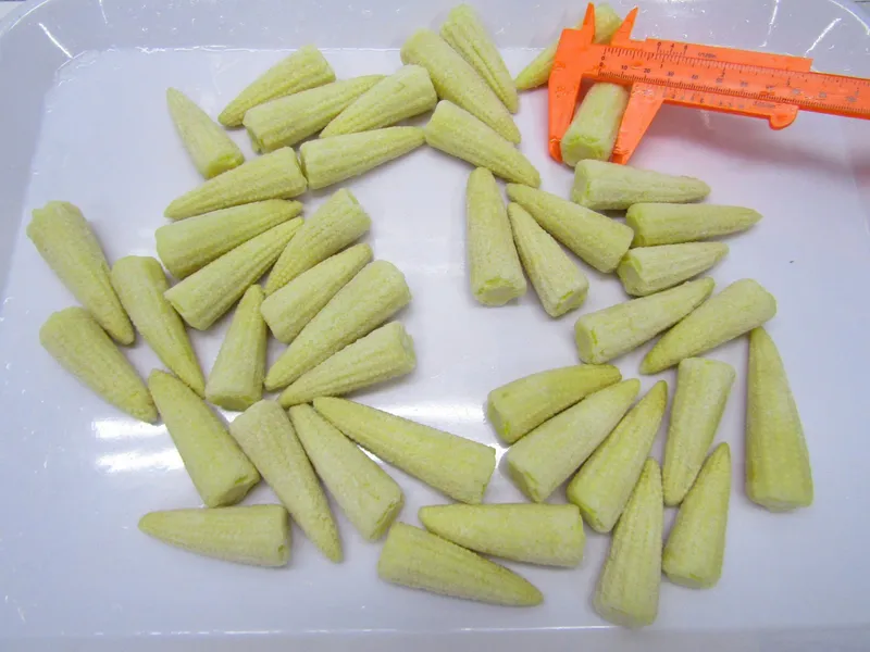Sản phẩm Whole baby Corn IQF szie 5 7 cm min 10 22 mm 1 — Công Ty TNHH Chế Biến Thực Phẩm Nấm Xuất Khẩu Tư Thao Sóc Trăng — MST 2200197607