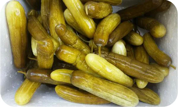 Sản phẩm dua chuot muoi — Công Ty TNHH Chế Biến Thực Phẩm Nấm Xuất Khẩu Tư Thao Sóc Trăng — MST 2200197607