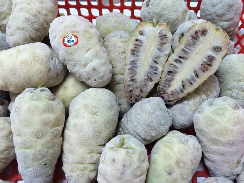 Sản phẩm frozen noni — Công Ty TNHH Chế Biến Thực Phẩm Nấm Xuất Khẩu Tư Thao Sóc Trăng — MST 2200197607