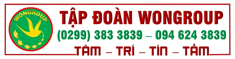 Logo Công Ty Cổ Phần Tập đoàn WonGroup
