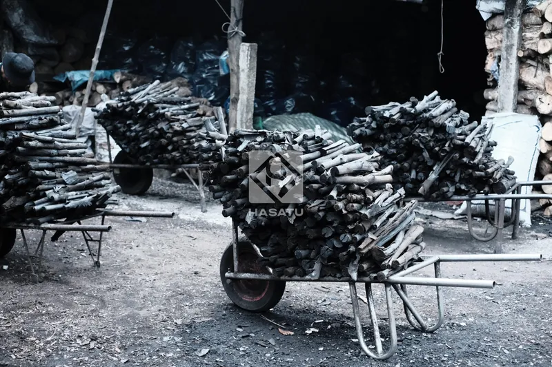 Sản phẩm charcoal mangrove scaled — Than Không Khói HASATU - Công Ty TNHH Xuất Nhập Khẩu HASATU — MST 2200807637