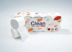 Sản phẩm giay ve sinh clean 1 day 247x180 — Công Ty Thành Hưng - (TNHH) — MST 2300208210