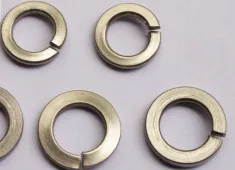 Sản phẩm Long Den 05 — Bu Lông ốc Vít Từ Sơn - Doanh Nghiệp Tư Nhân Xí Nghiệp Bu Lông Ốc Vít Từ Sơn — MST 2300215049