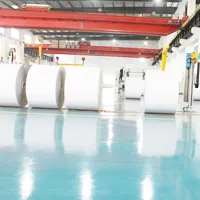 Sản phẩm duplex paper — Công Ty TNHH Sản Xuất Và Thương Mại Cường Thịnh — MST 2300236232