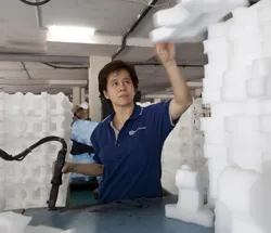 Sản phẩm Packaging Foam 250px — Công Ty TNHH Jebsen Và Jessen Packaging Việt Nam — MST 2300273770