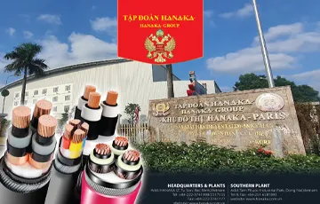 Sản phẩm 202304151529316821 — Công Ty Cổ Phần Tập Đoàn Hanaka — MST 2300296337