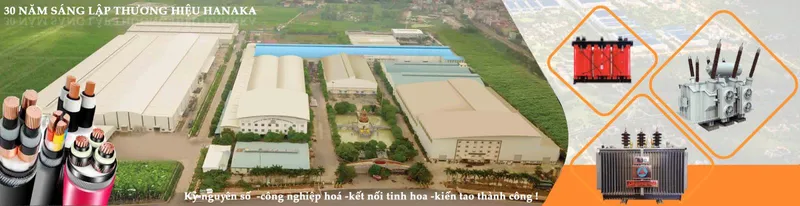 Sản phẩm 202305201632419376 — Công Ty Cổ Phần Tập Đoàn Hanaka — MST 2300296337