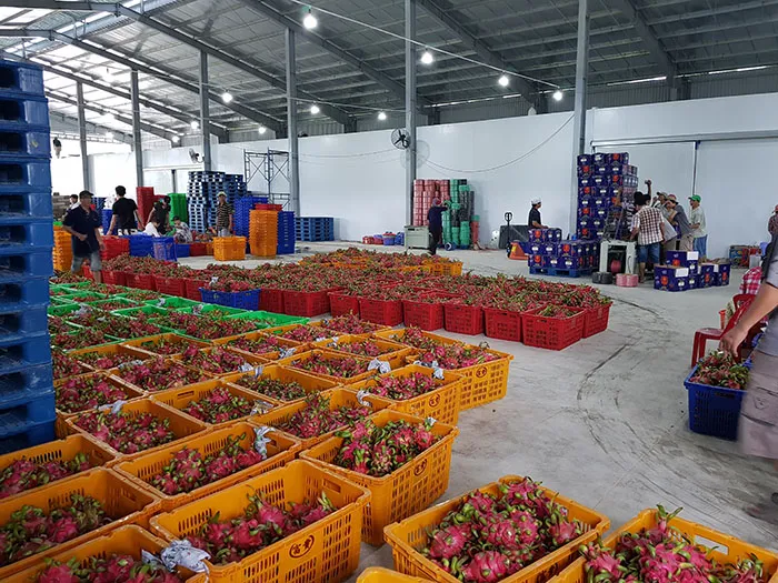Sản phẩm 13 — Nhà Thầu Cơ Điện Lạnh Phú Thành An - Công Ty TNHH Thương Mại Phú Thành An Bắc
Ninh — MST 2300737528