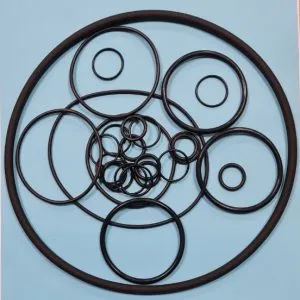 Sản phẩm Gioang oring 300x300 — Công Ty TNHH Sohuco — MST 2300760975