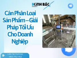 Sản phẩm can phan loai san pham giai phap toi uu cho doanh nghiep1_thumb — Cân Kinh Bắc - Công Ty Cổ Phần Ngôi Sao Kinh Bắc — MST 2300779937