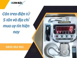 Sản phẩm can treo dien tu 5tan va dia chi ban uy tin1_thumb — Cân Kinh Bắc - Công Ty Cổ Phần Ngôi Sao Kinh Bắc — MST 2300779937