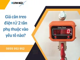 Sản phẩm gia can treo dien tu 2 tan phu thuoc vao yeu to nao1_thumb — Cân Kinh Bắc - Công Ty Cổ Phần Ngôi Sao Kinh Bắc — MST 2300779937