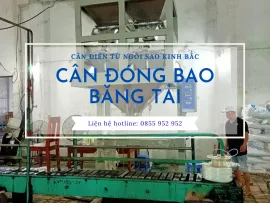 Sản phẩm lap dat can dong bao tai phu tho uy tin chat luong can dien tu kinh bac1_thumb — Cân Kinh Bắc - Công Ty Cổ Phần Ngôi Sao Kinh Bắc — MST 2300779937
