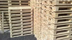 Sản phẩm pallet go 1507305823 — Công Ty TNHH LEOTECH — MST 2300848348