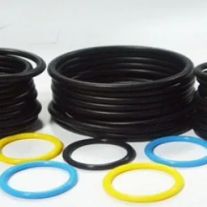 Sản phẩm o ring — Công Ty TNHH Phát An Thảo — MST 2300858674
